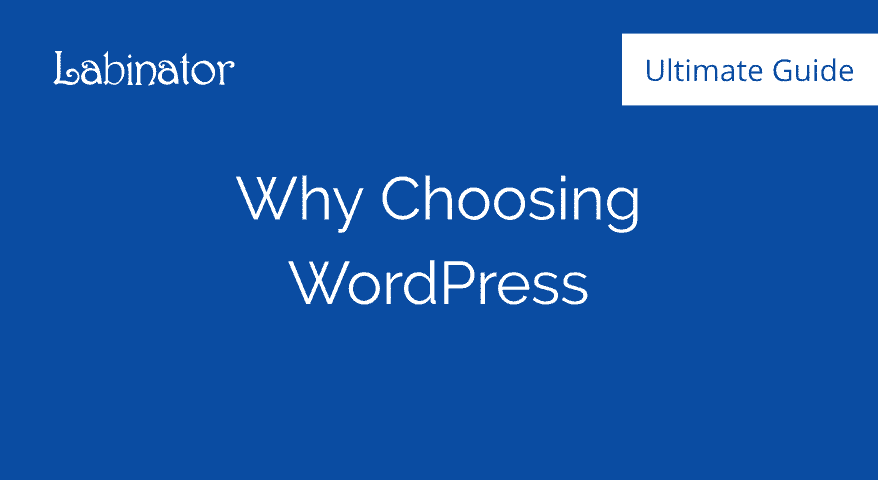 Why Choosing WordPress